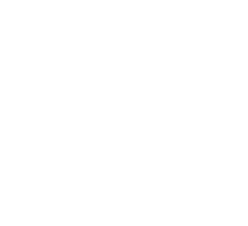 Dragon tasmania logo